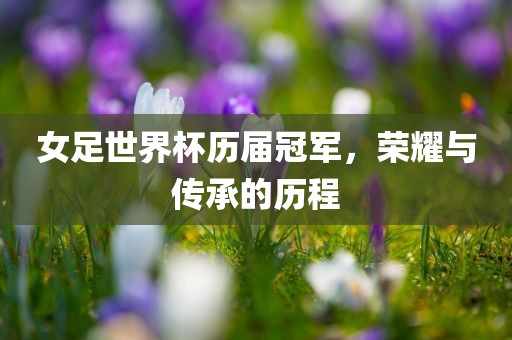 女足世界杯历届冠军，荣耀与传承的历程