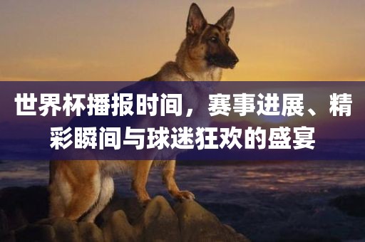 世界杯播报时间，赛事进展、精彩瞬间与球迷狂欢的盛宴