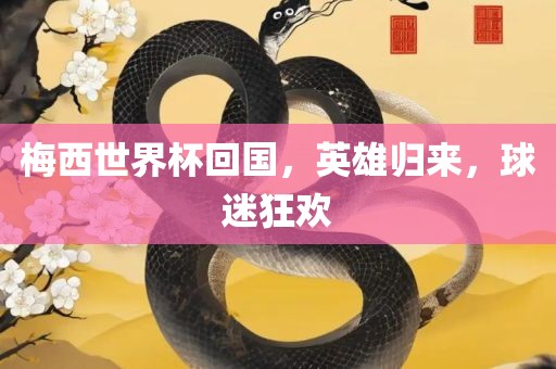 梅西世界杯回国，英雄归来，球迷狂欢
