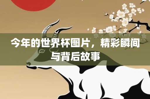 今年的世界杯图片，精彩瞬间与背后故事
