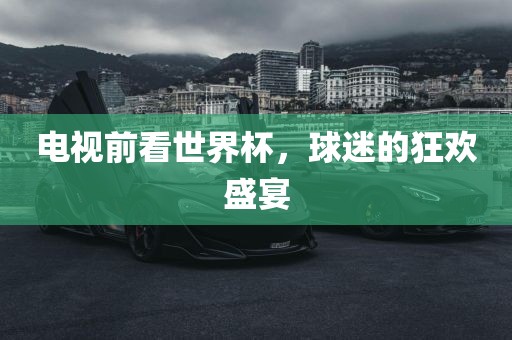 电视前看世界杯，球迷的狂欢盛宴
