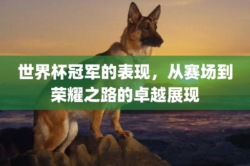 世界杯冠军的表现，从赛场到荣耀之路的卓越展现