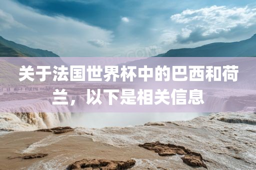 关于法国世界杯中的巴西和荷兰，以下是相关信息