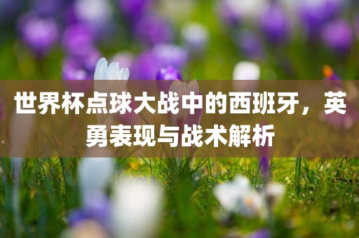 世界杯点球大战中的西班牙，英勇表现与战术解析