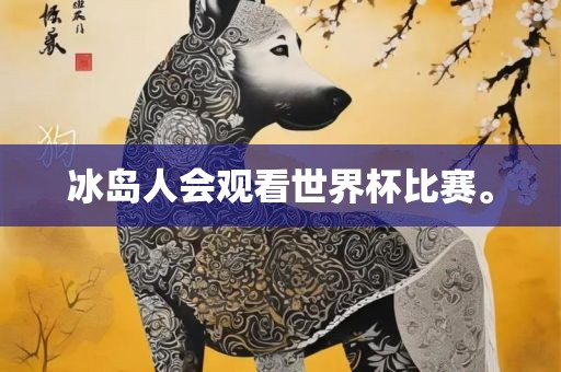 冰岛人会观看世界杯比赛。