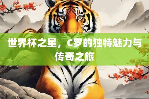 世界杯之星，C罗的独特魅力与传奇之旅