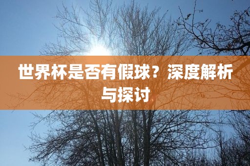 世界杯是否有假球？深度解析与探讨