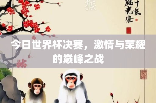 今日世界杯决赛，激情与荣耀的巅峰之战