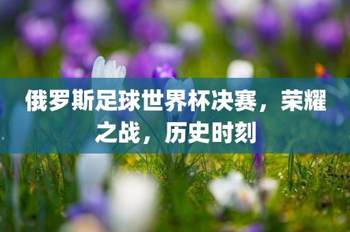 俄罗斯足球世界杯决赛，荣耀之战，历史时刻