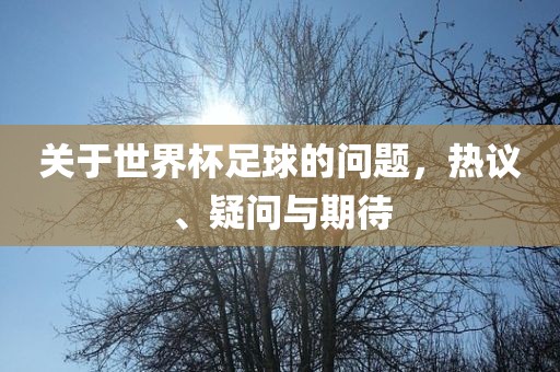 关于世界杯足球的问题，热议、疑问与期待