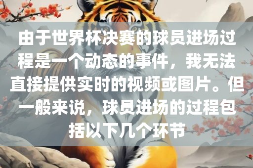 由于世界杯决赛的球员进场过程是一个动态的事件，我无法直接提供实时的视频或图片。但一般来说，球员进场的过程包括以下几个环节