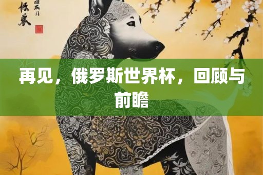 再见，俄罗斯世界杯，回顾与前瞻
