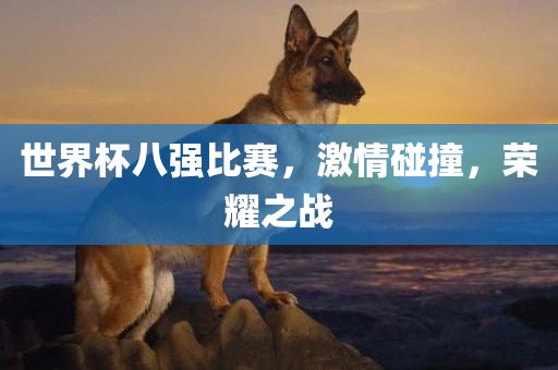 世界杯八强比赛，激情碰撞，荣耀之战