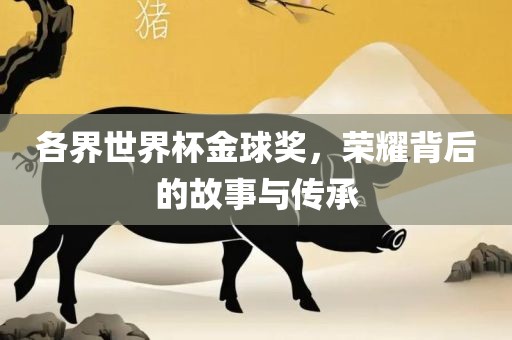 各界世界杯金球奖，荣耀背后的故事与传承