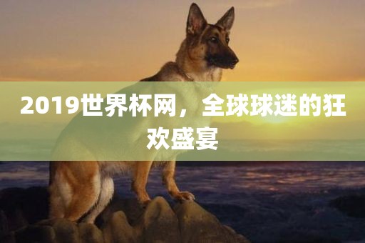2019世界杯网，全球球迷的狂欢盛宴