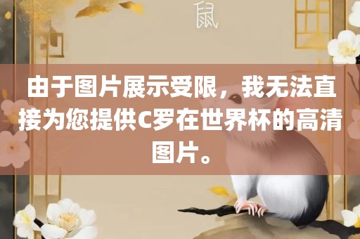 由于图片展示受限，我无法直接为您提供C罗在世界杯的高清图片。