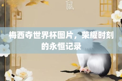 梅西夺世界杯图片，荣耀时刻的永恒记录