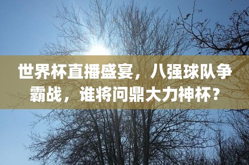 世界杯直播盛宴，八强球队争霸战，谁将问鼎大力神杯？