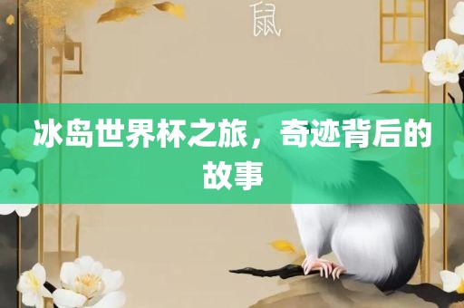 冰岛世界杯之旅，奇迹背后的故事