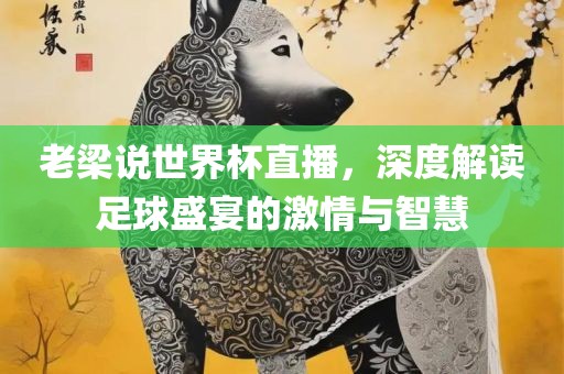 老梁说世界杯直播，深度解读足球盛宴的激情与智慧