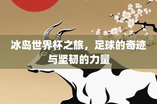 冰岛世界杯之旅，足球的奇迹与坚韧的力量