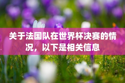 关于法国队在世界杯决赛的情况，以下是相关信息