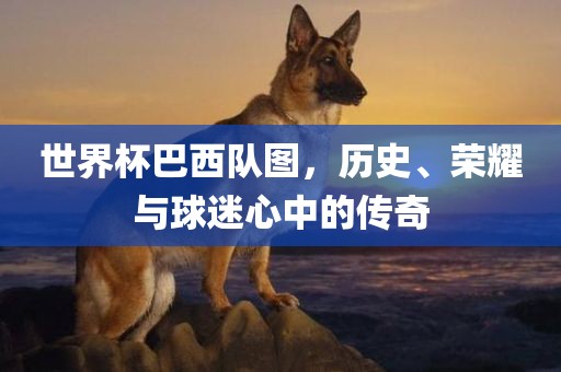 世界杯巴西队图，历史、荣耀与球迷心中的传奇