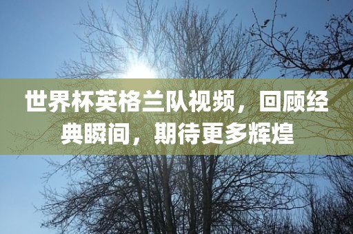 世界杯英格兰队视频，回顾经典瞬间，期待更多辉煌