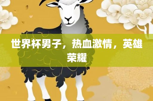 世界杯男子，热血激情，英雄荣耀