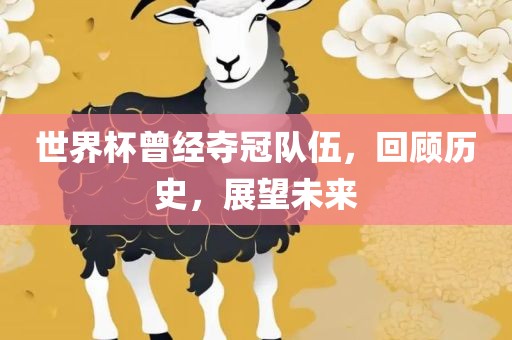 世界杯曾经夺冠队伍，回顾历史，展望未来