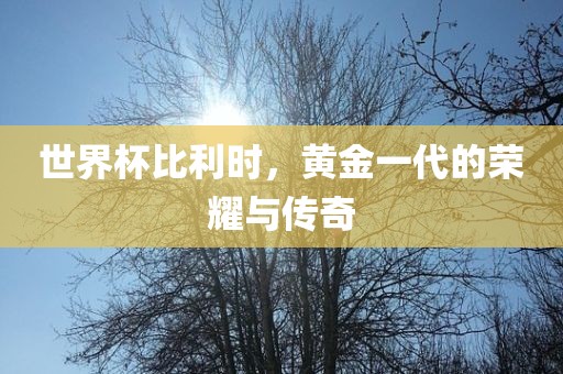 世界杯比利时，黄金一代的荣耀与传奇