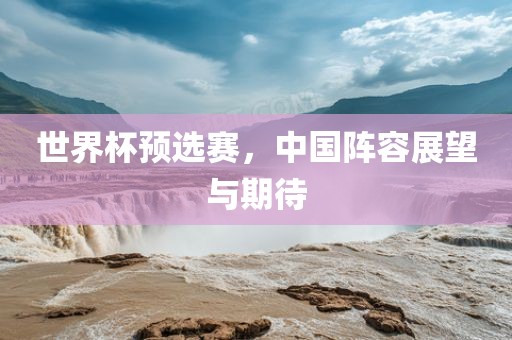世界杯预选赛，中国阵容展望与期待