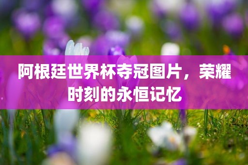 阿根廷世界杯夺冠图片，荣耀时刻的永恒记忆