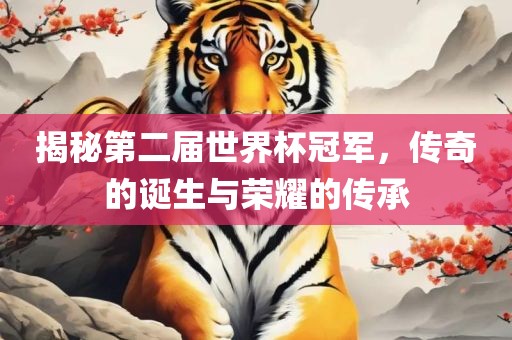 揭秘第二届世界杯冠军，传奇的诞生与荣耀的传承