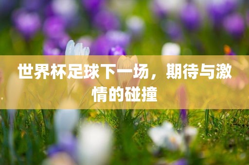 世界杯足球下一场，期待与激情的碰撞