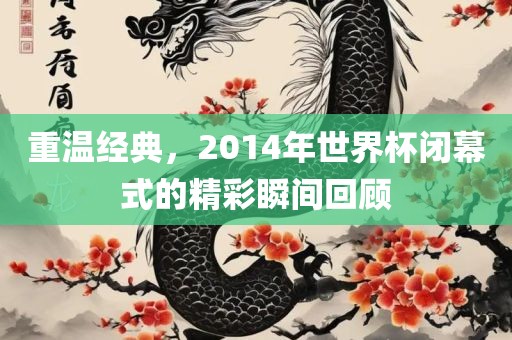 重温经典，2014年世界杯闭幕式的精彩瞬间回顾