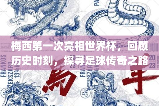 梅西第一次亮相世界杯，回顾历史时刻，探寻足球传奇之路