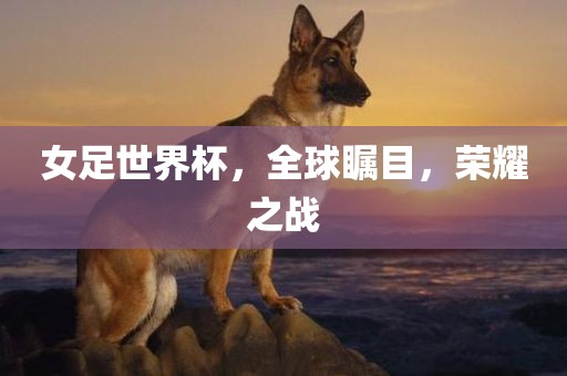女足世界杯，全球瞩目，荣耀之战