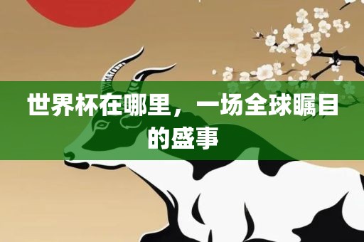 世界杯在哪里，一场全球瞩目的盛事