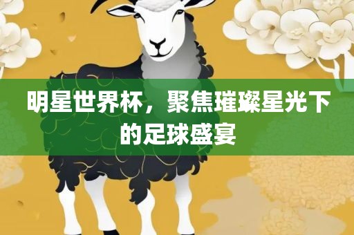 明星世界杯，聚焦璀璨星光下的足球盛宴