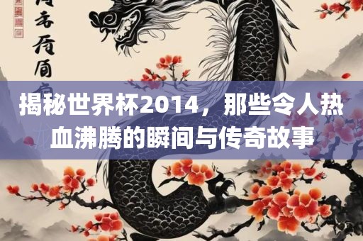 揭秘世界杯2014，那些令人热血沸腾的瞬间与传奇故事