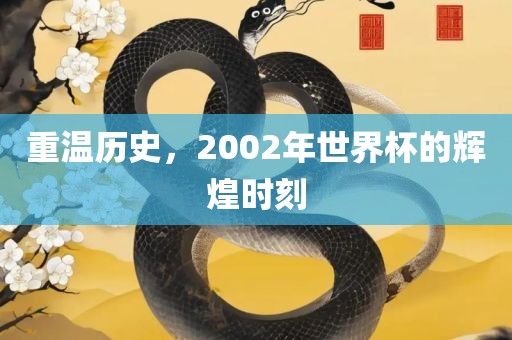重温历史，2002年世界杯的辉煌时刻