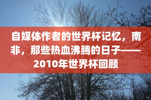 自媒体作者的世界杯记忆，南非，那些热血沸腾的日子——2010年世界杯回顾