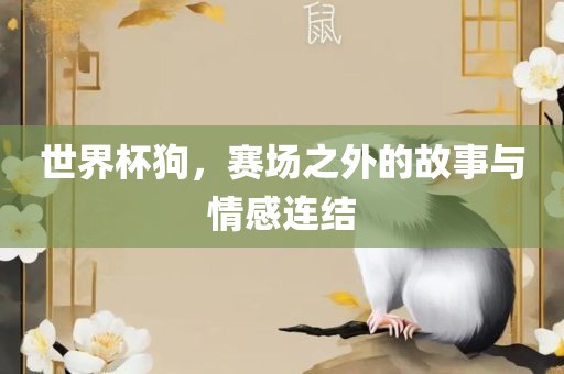 世界杯狗，赛场之外的故事与情感连结