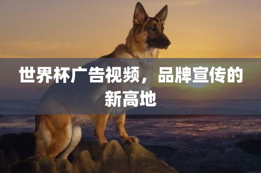 世界杯广告视频，品牌宣传的新高地