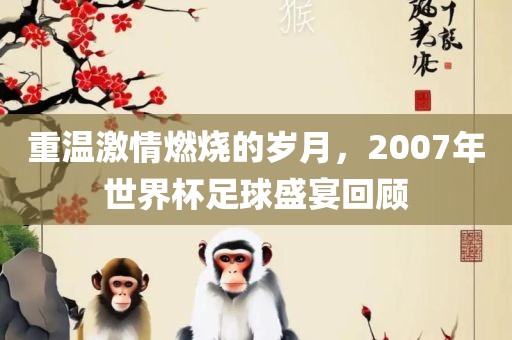重温激情燃烧的岁月，2007年世界杯足球盛宴回顾