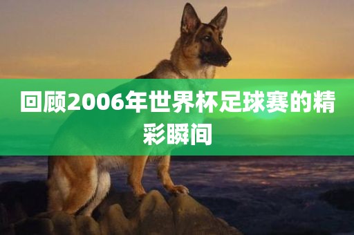 回顾2006漯河市盈旭机械设备有限公司年世界杯足球赛的精彩瞬间
