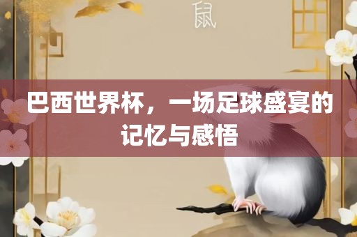 巴西世界杯，一场足球盛宴的记忆与感悟