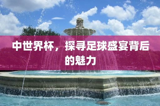 中世界杯，探寻足球盛宴背后的魅力