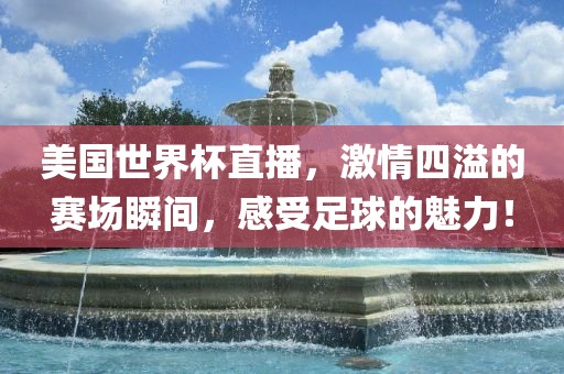 美国世界杯直播，激情四溢的赛场瞬间，感受足球的魅力！漯河市盈旭机械设备有限公司